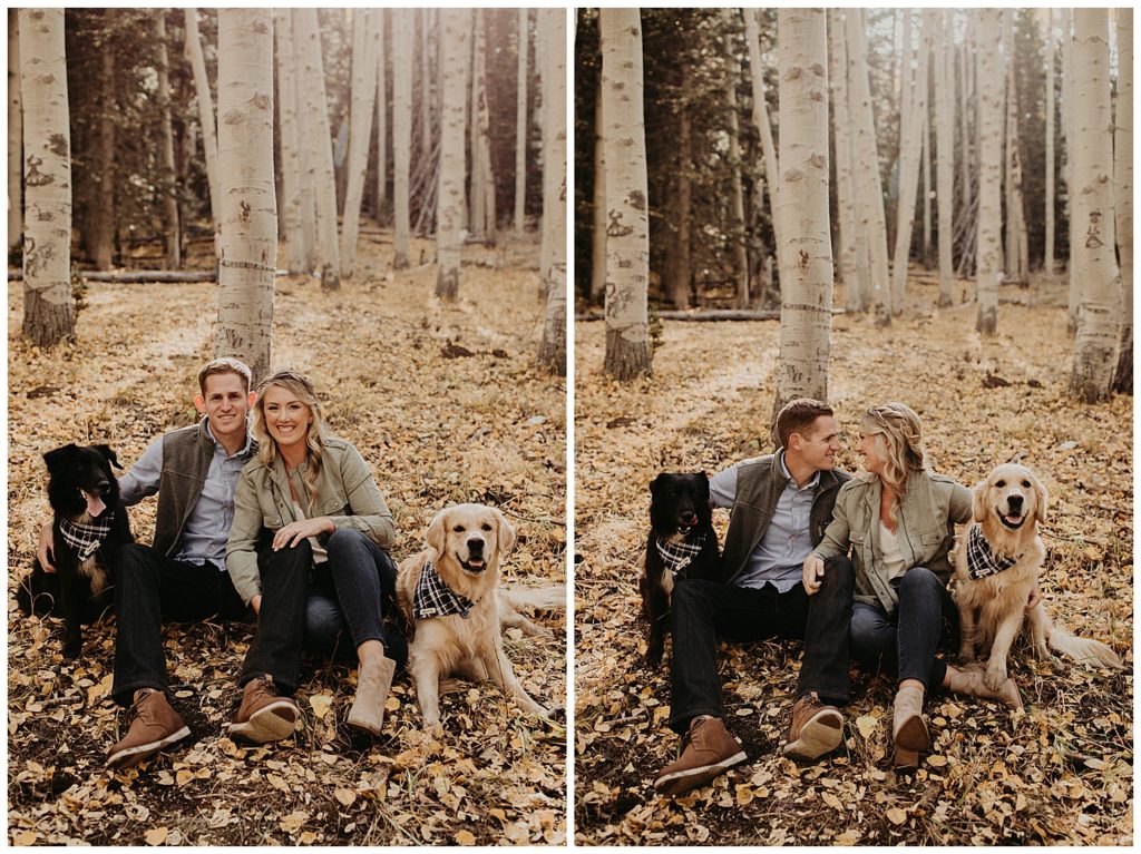 engaged couple posing with their dogs in flagstaff during their engagement session 